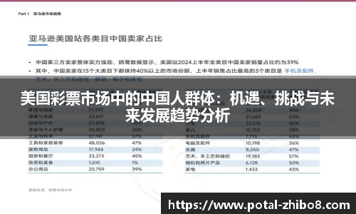 美国彩票市场中的中国人群体：机遇、挑战与未来发展趋势分析
