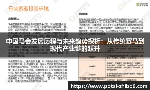 中国马会发展历程与未来趋势探析：从传统赛马到现代产业链的跃升